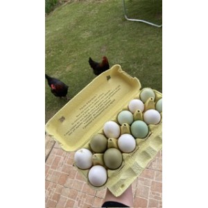 Panier type vert blanc beige bleu