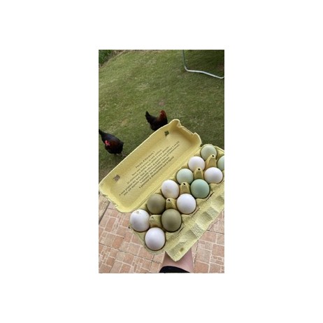 Panier type vert blanc beige bleu