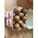Œufs kaki