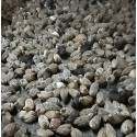 Lot de 24 œufs de caille fécondé Lot de 24 œufs de caille fécondé
